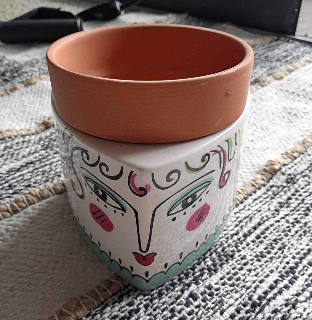 Cost Plus World Market Ceramic Face Planter - Terracotta and White
